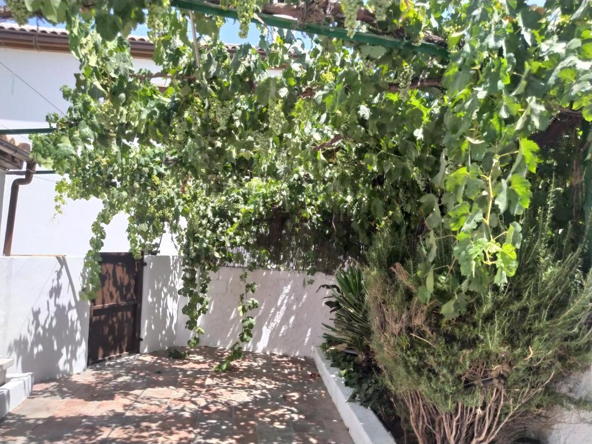 La Casa Del Ingles Villa Montefrio Luaran gambar